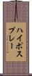 ハイポスプレー Scroll