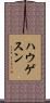 ハウゲスン Scroll