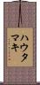 ハウタマキ Scroll