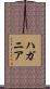 ハガニア Scroll