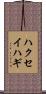 ハクセイハギ Scroll