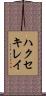 ハクセキレイ Scroll
