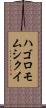 ハゴロモムシクイ Scroll