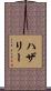 ハザリー Scroll