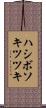 ハシボソキツツキ Scroll