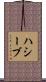 Haseeb Scroll