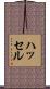 ハッセル Scroll