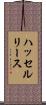 ハッセルリース Scroll