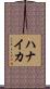 ハナイカ Scroll