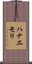 ハナエモリ Scroll