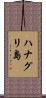 ハナグリ島 Scroll