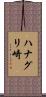 ハナグリ崎 Scroll