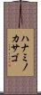 ハナミノカサゴ Scroll