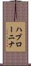 ハブローニナ Scroll