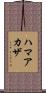 ハマアカザ Scroll