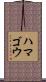 ハマゴウ Scroll