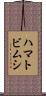ハマトビムシ Scroll