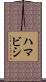 ハマビシ Scroll