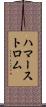ハマーストロム Scroll