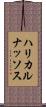 ハリカルナッソス Scroll