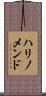 ハリノメンド Scroll