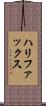 ハリファックス Scroll