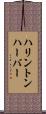 ハリントンハーバー Scroll
