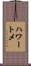 ハワートメ Scroll