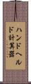 ハンドヘルド計算器 Scroll