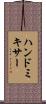 ハンド・ミキサー Scroll