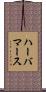 ハーバマース Scroll