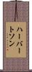 ハーバートソン Scroll