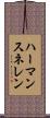 ハーマンスネレン Scroll