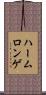 ハームロンゲ Scroll