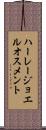 ハーレージョエルオスメント Scroll