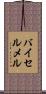 バイセルメル Scroll