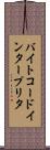 バイトコード・インタープリタ Scroll