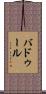 Baddour Scroll