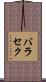 バラセク Scroll