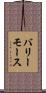 バリーモース Scroll