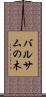 バルサムの木 Scroll