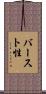 バースト性 Scroll