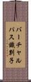バーチャルパス識別子 Scroll