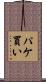 パケ買い Scroll