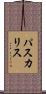 パスカリス Scroll