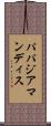 パパジアマンディス Scroll