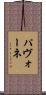 パヴォーネ Scroll