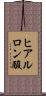 ヒアルロン酸 Scroll