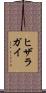 ヒザラガイ Scroll