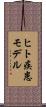 ヒト疾患モデル Scroll